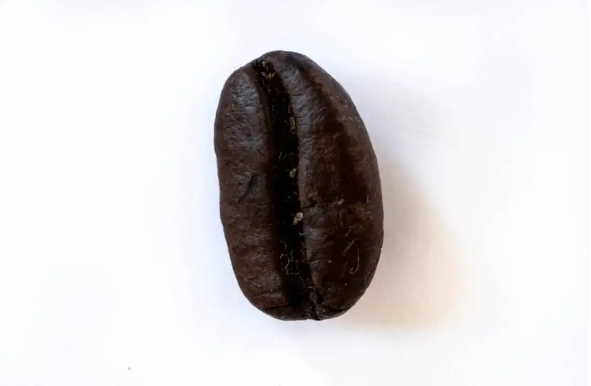 Choosing the Best Coffee Bean